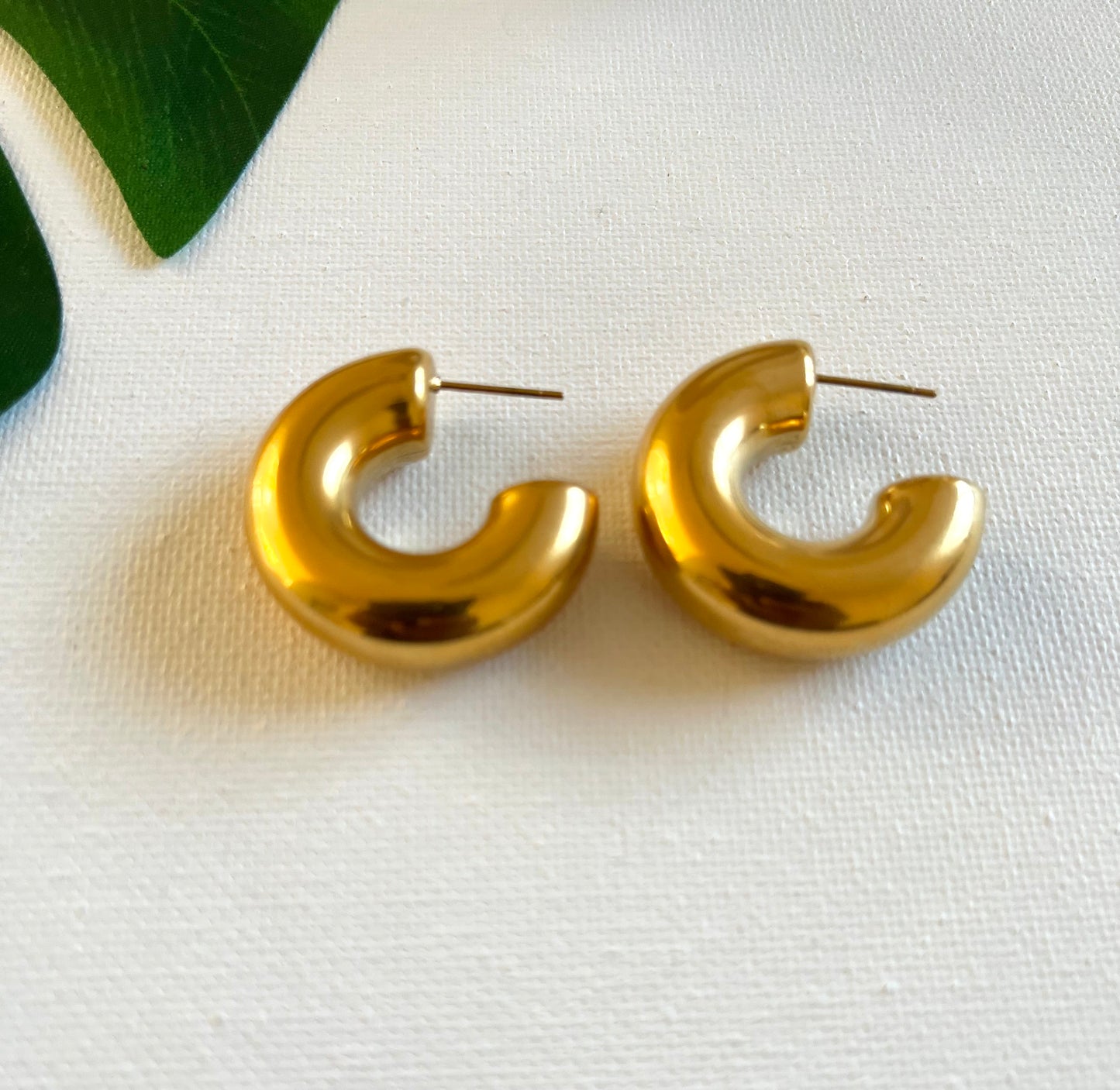 Lulu Hoop Earrings