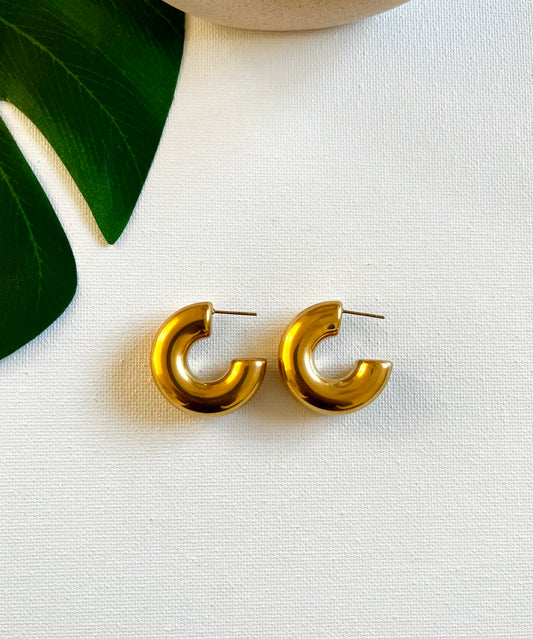 Lulu Hoop Earrings